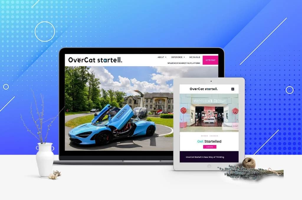 OverCat — project mock-up on desktop and mobile screens